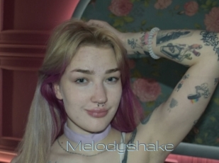 Melodyshake