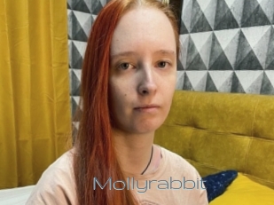 Mollyrabbit