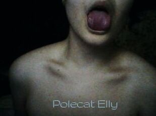 Polecat_Elly