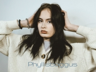 Phyllisboggus