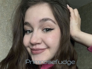 Primrosefudge