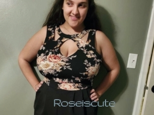 Roseiscute