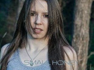 SMALL_HONEY