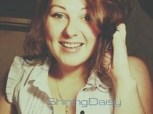 ShiningDaisy