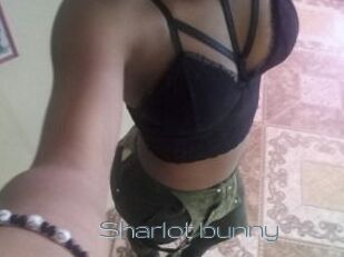 Sharlot_bunny