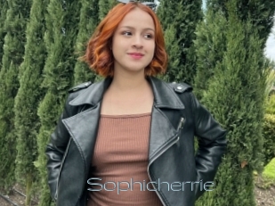 Sophicherrie