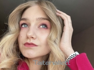 Taitehallett