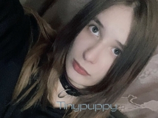 Tinypuppy