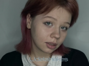 Udelahakes