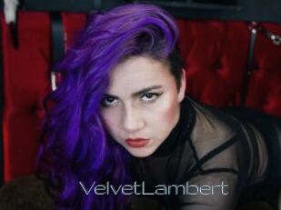 VelvetLambert