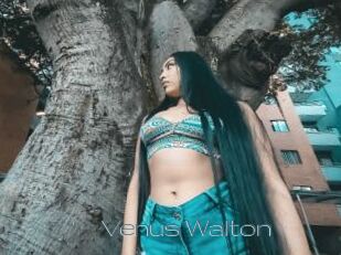 Venus_Walton