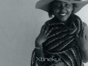 Xtinekui