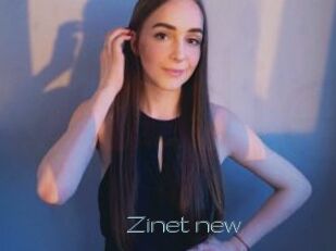 Zinet_new